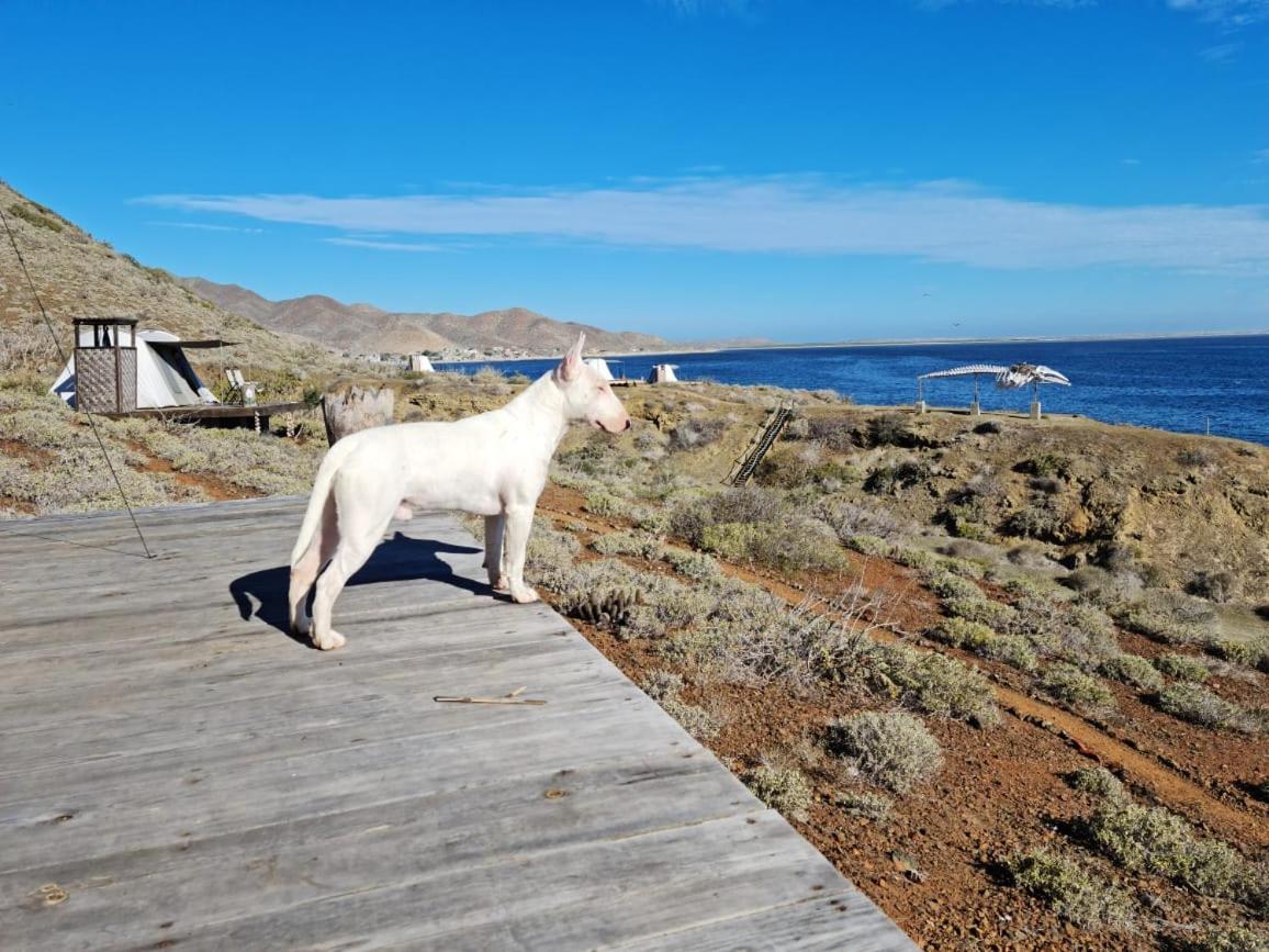 Hotel Isabela, Mag Bay Puerto San Carlos Dış mekan fotoğraf